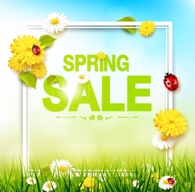 Spring Sale - Termite Technology