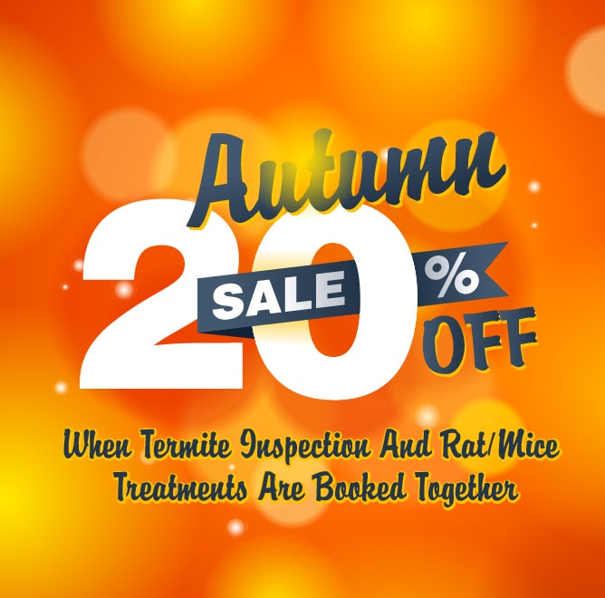 Autumn Offer Termite Technology